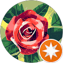 Thanh Tâm profile picture